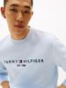 Tommy Hilfiger Sweater MW0MW11596C1O