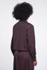 Rino & Pelle Jack Gea.7002611