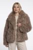 Rino & Pelle Jack Lias.7002611