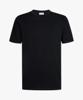 Profuomo T-Shirt PPXT30005A