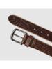 PME-Legend Riem PBE2502963-771