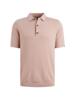 Vanguard Polo VPSS2511812-4078