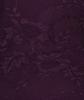 Esqualo Top W26.30724