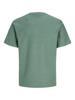 Jack & Jones T-Shirt 12294948