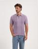 Saint Steve Polo 241295