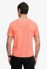 Superdry T-Shirt M1012345A