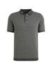 Vanguard Polo VPSS2504860-9076