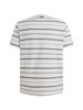 Vanguard T-Shirt VTSS2505551-7004