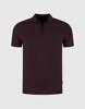 Saint Steve Trui 250497