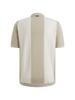 Vanguard Polo VPSS2604866-8265