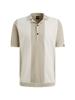 Vanguard Polo VPSS2604866-8265