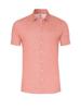 Desoto Dress shirt 93032-3