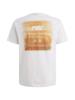 PME-Legend T-Shirt PTSS2605571-7003