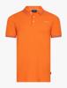 Cavallaro Napoli Polo 116262004