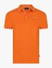 Cavallaro Napoli Polo 116262010