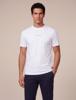 Cavallaro Napoli T-Shirt 117262011