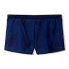 Speedo valmilton aquashort