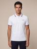 Cavallaro Napoli Polo 116262011