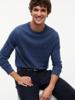 Tommy Hilfiger Trui met ronde hals MW0MW39999DVI Blauw