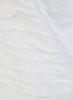 Rabe T-Shirt 56-121302