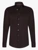 Cavallaro Napoli Overhemd 110265001