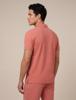 Cavallaro Napoli Polo Pomodoro | Zachtroze
