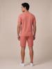 Cavallaro Napoli T-Shirt Pomodoro | Zachtroze