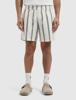 Pure Path Shorts 26010510