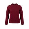 Roberto Sarto Trui 631193-T270