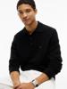 Tommy Hilfiger Polo MW0MW44785BDS