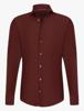 Cavallaro Napoli Overhemd 110265001