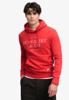 Superdry Trui M2014716A