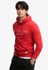 Superdry Trui M2014716A