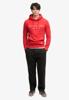 Superdry Trui M2014716A