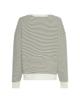 MSCH Copenhagen Sweater 19188