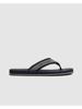 PME-Legend Schoenen PBO2604130-599