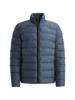 Vanguard Jack VJA2608173-5356