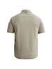 Vanguard Polo VPSS2608890-6479