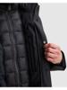 Vanguard Jack VJA2609180-5073
