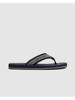PME-Legend Schoenen PBO2604130-599