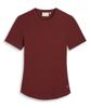 JOSH V Cody Slim Fit T-shirt JV-2608-1108 Burgundy