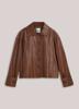 Summum Jack 1s1309-12511