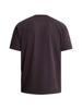 Cast Iron T-Shirt CTSS2609562-4163