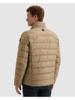 Vanguard Jack VJA2608173-7147