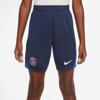 Nike paris saint germain strike dri-fit knit short