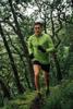 Falke  ru4 endurance cool short men running
