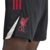 Adidas liverpool fc tiro 25 competition trainingshort