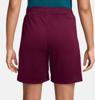 Nike paris saint-germain dri-fit strike short 24/25