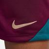 Nike paris saint-germain dri-fit strike short 24/25