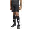 adidas ajax amsterdam 26/27 uitshort kids